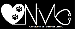 Naguilian Veterinary Clinic